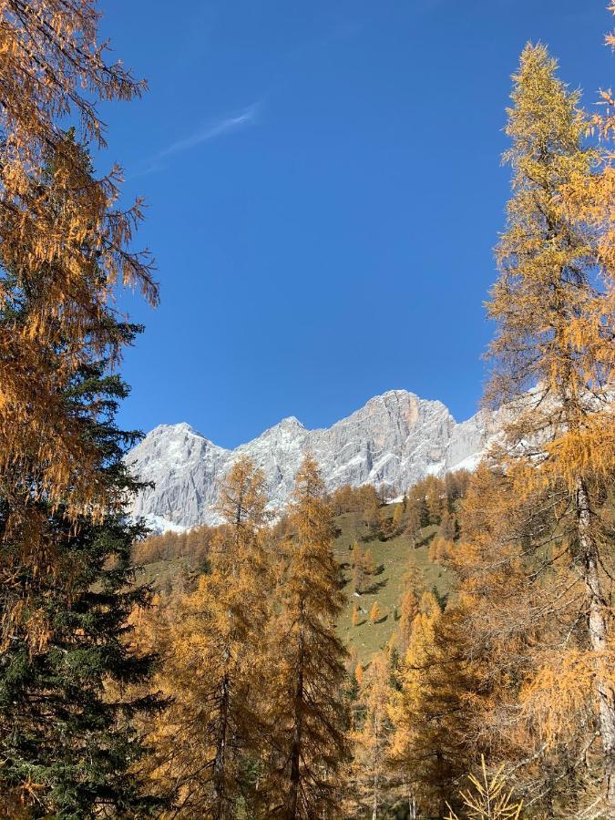 Aparthotel Das Hochkoenig Ramsau am Dachstein Extérieur photo
